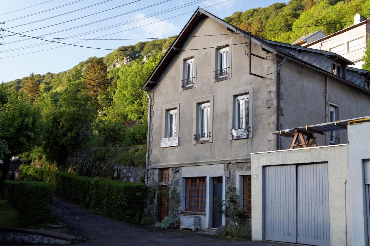 Villa Jean Julien - Le Sancy - Appartement T3 - 65M2 - 8 Personnes Le Mont-Dore Exterior foto